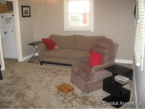 1620 North 20th Street Springfield, IL 62702 - Photo 2 of 20
