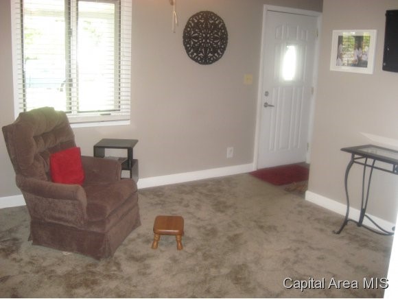 1620 North 20th Street Springfield, IL 62702 - Photo 3 of 20