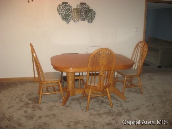 1620 North 20th Street Springfield, IL 62702 - Photo 4 of 20