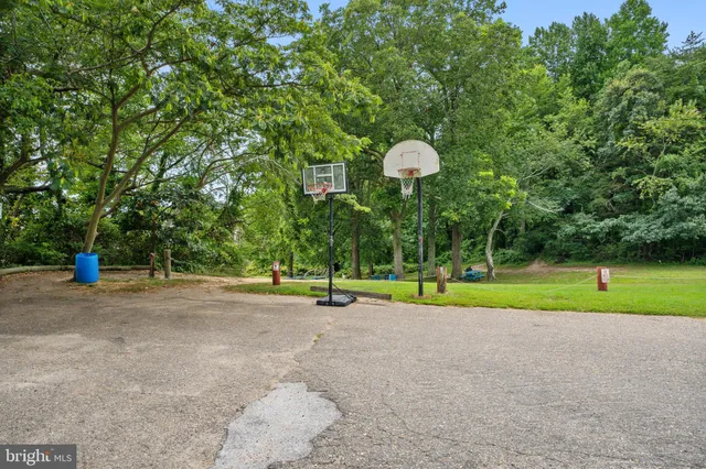 a view of a trees in a yard