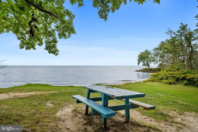a front view of a house with yard and green space