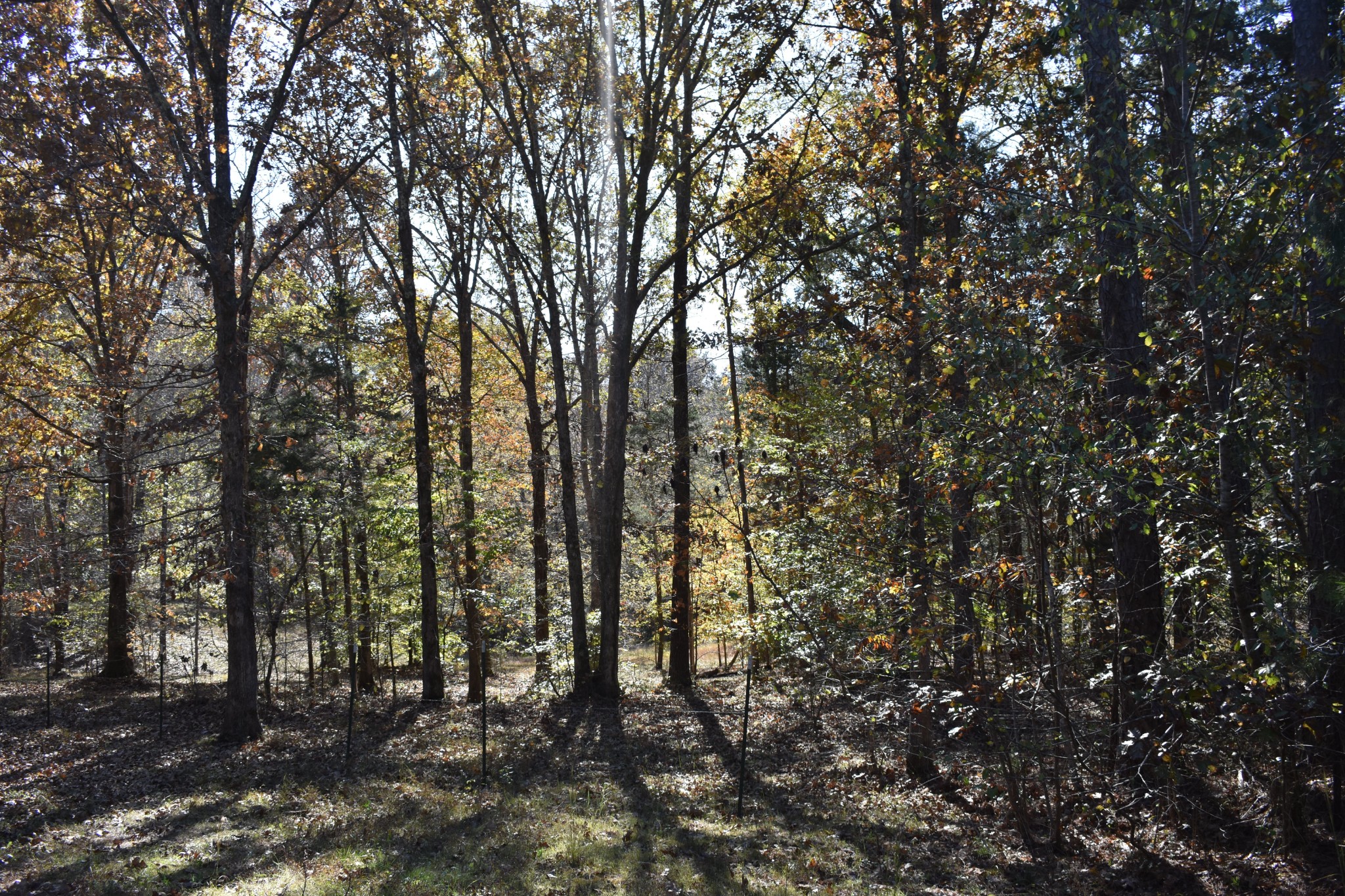 10907 Kyle Road Bon Aqua, TN 37025 - Photo 5 of 5 Gallery Image 5
