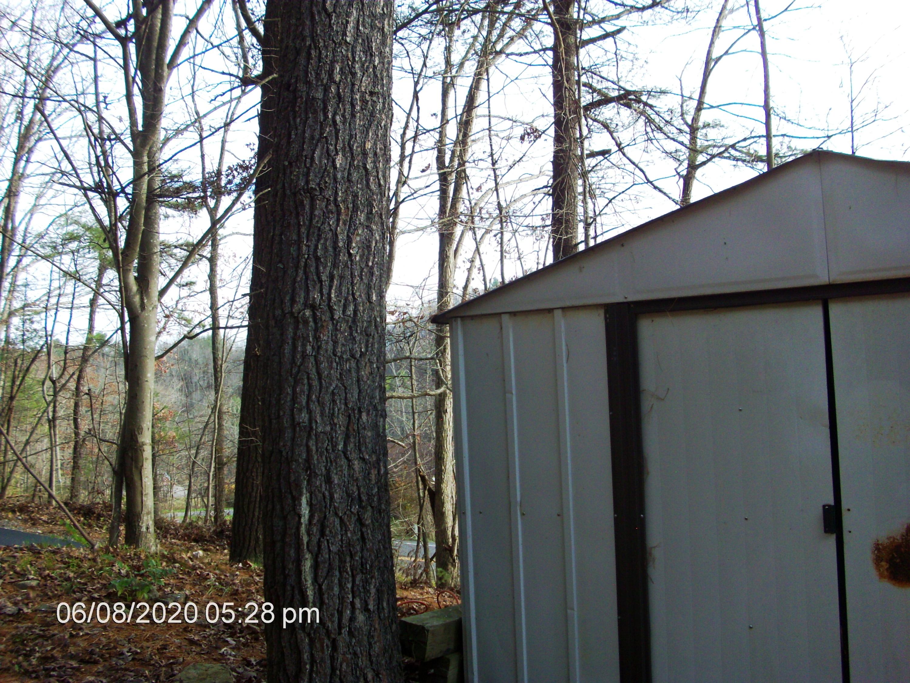 5696 Riner Road Riner, VA 24149 - Photo 11 of 11 5696RINER5