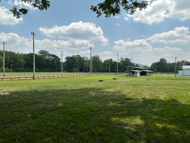 10267 Viola Road Morrison, TN 37357 - Photo 5 of 34