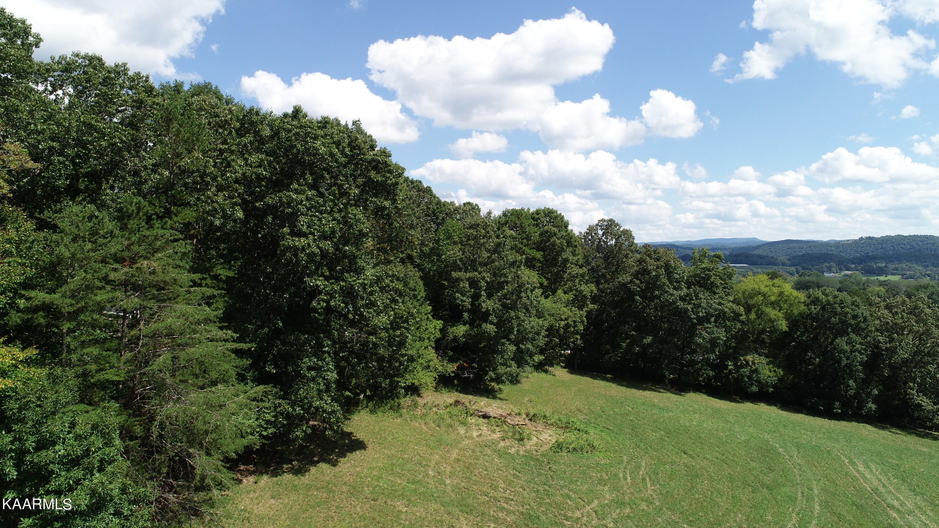 Grizzell Ridge Road Sharps Chapel, TN 37866 - Photo 27 of 30 DJI_0216