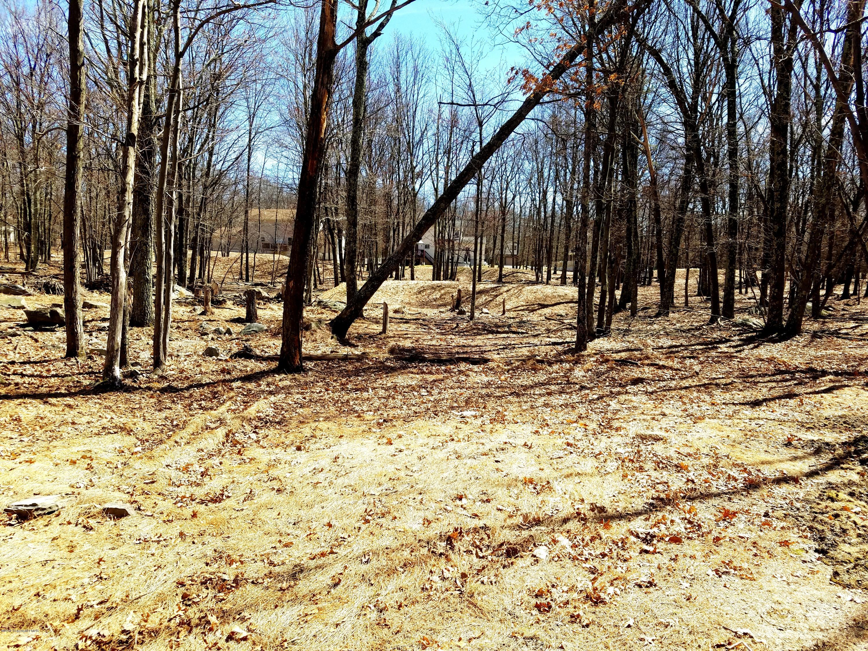 4525 Pine Ridge Drive West Bushkill, PA 18324 - Photo 19 of 29 Backyard