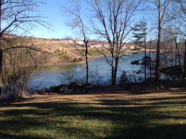 16530 Moneta Road Moneta, VA 24121 - Photo 4 of 16 Lake View