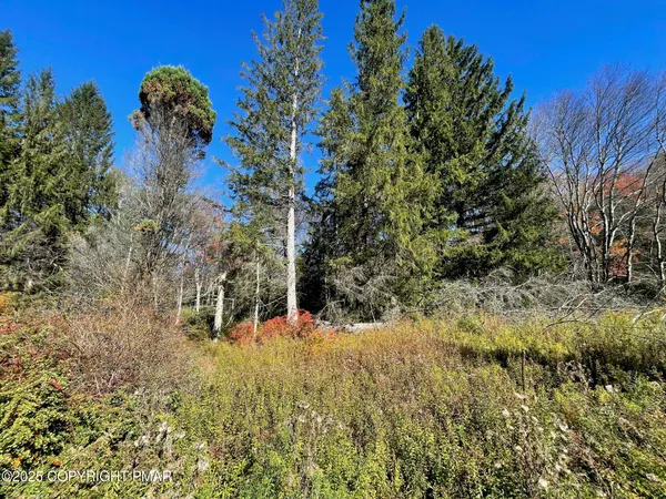 $29,900 | 19 West Mud Run Road, Albrightsville, PA 18210