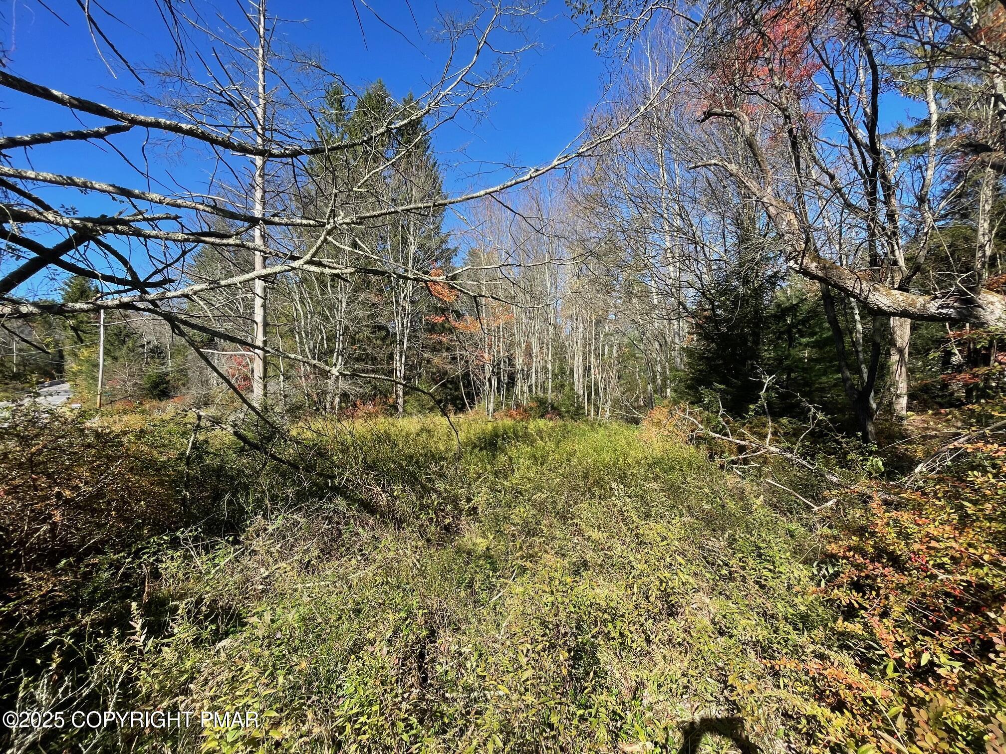 19 West Mud Run Road Albrightsville, PA 18210 - Photo 3 of 4 lot