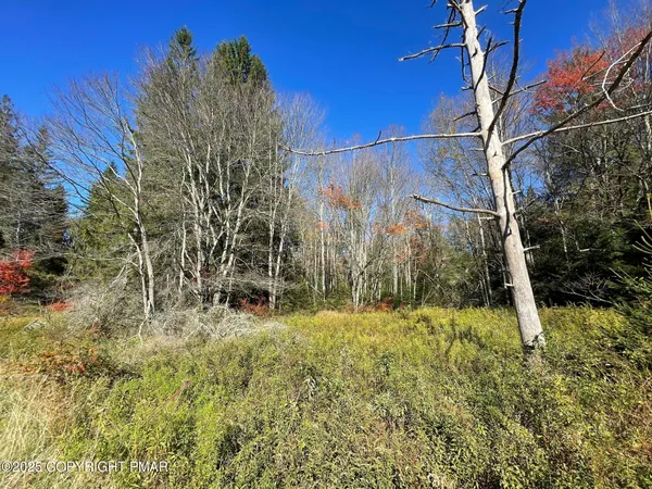 $29,900 | 19 West Mud Run Road, Albrightsville, PA 18210