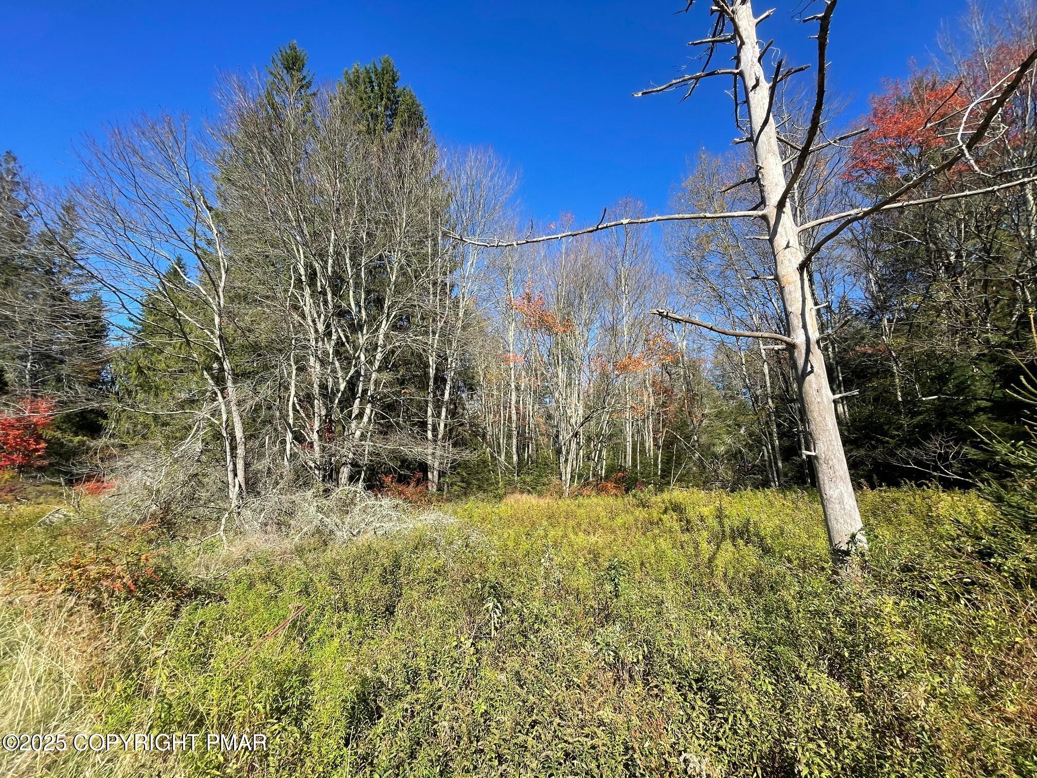 19 West Mud Run Road Albrightsville, PA 18210 - Photo 4 of 4 lot