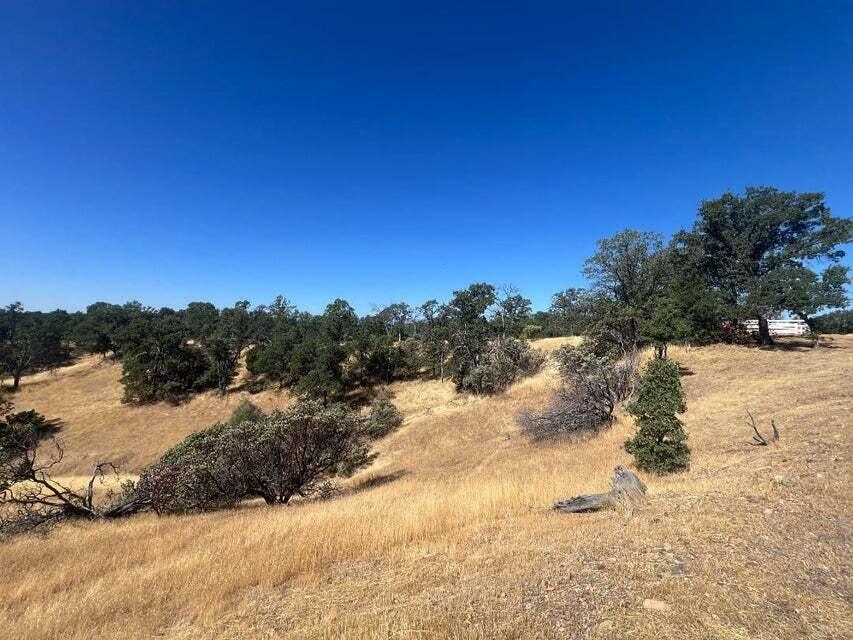 171252 Quail Ridge Road Cottonwood, CA 96022 - Photo 17 of 19 20250722201559268479000000-o