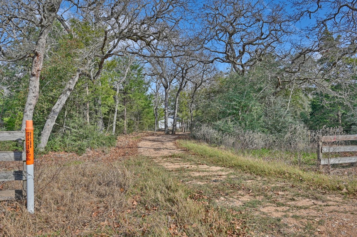 25504 Squirrel Road New Ulm, TX 78950 - Photo 18 of 37 a view of outdoor space and yard
