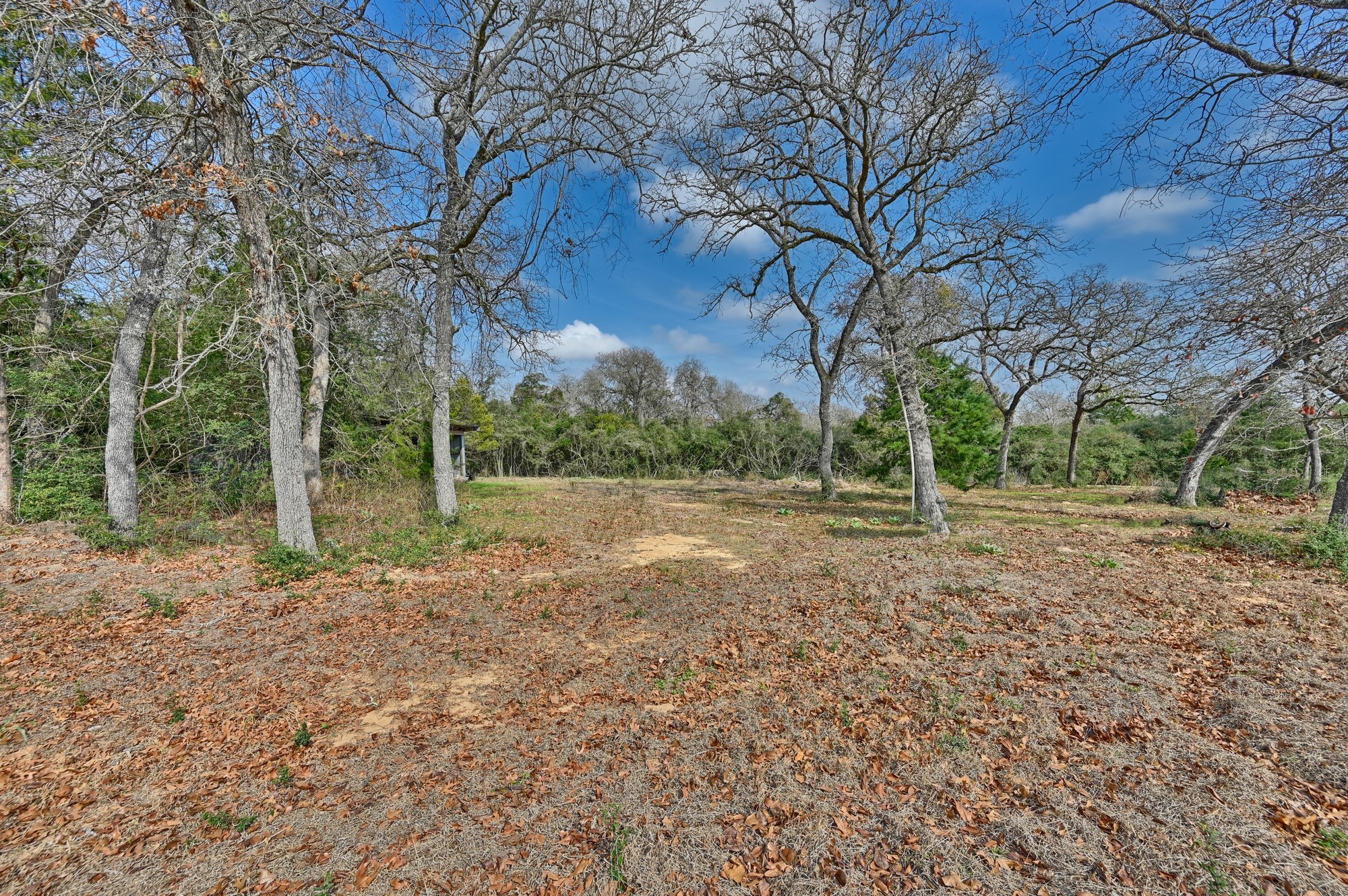 25504 Squirrel Road New Ulm, TX 78950 - Photo 21 of 37 a view of backyard with green space
