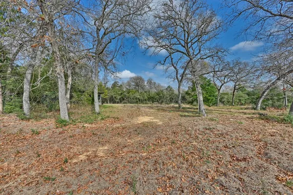 $600,000 | 25504 Squirrel Road, New Ulm, TX 78950