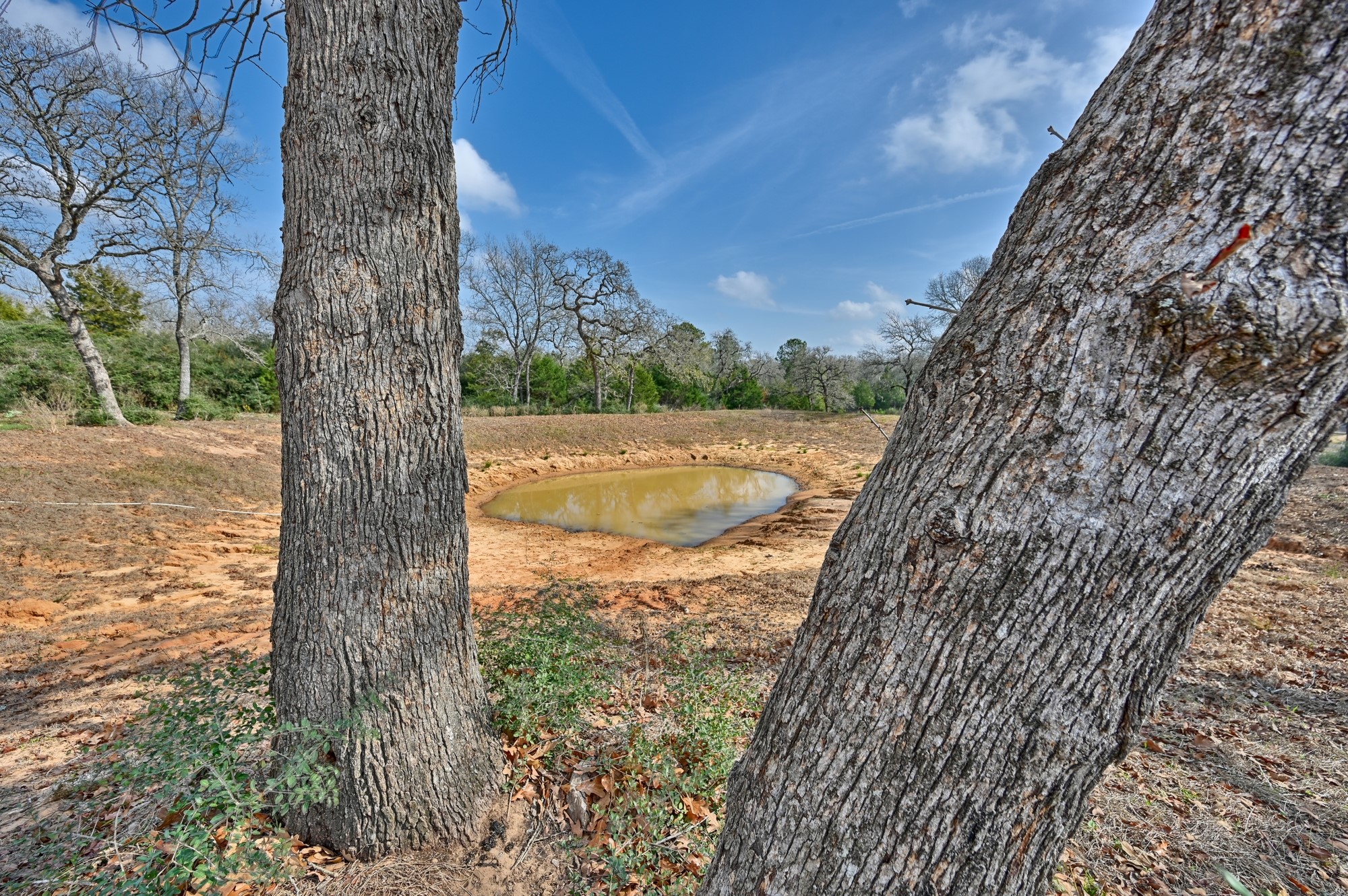 25504 Squirrel Road New Ulm, TX 78950 - Photo 24 of 37 a view of a yard with wooden fence