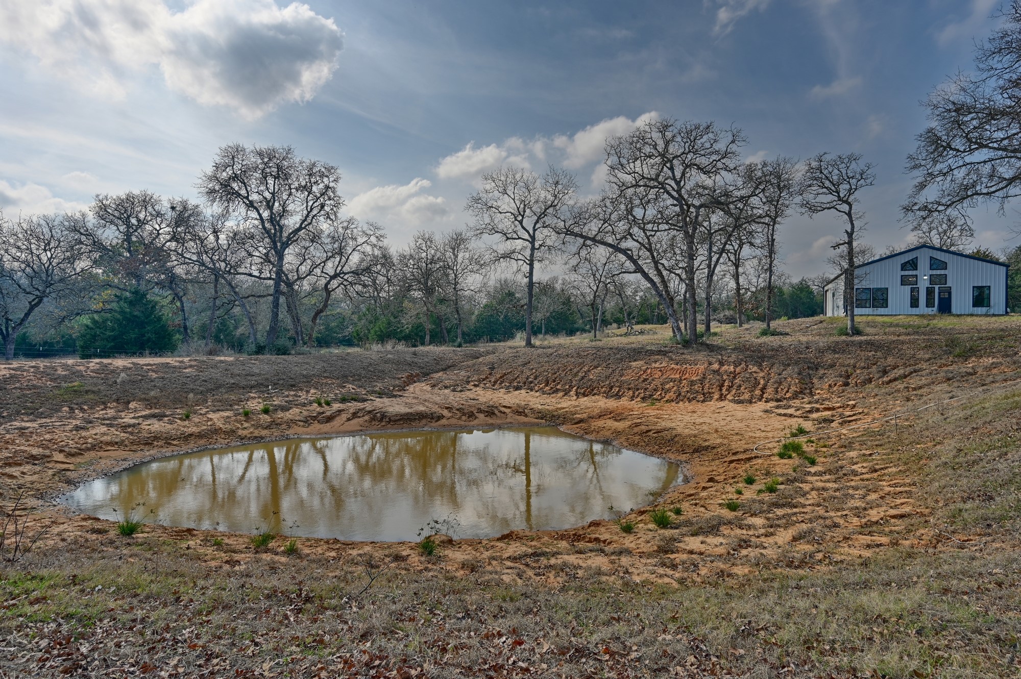 25504 Squirrel Road New Ulm, TX 78950 - Photo 27 of 37 a view of a dry yard with trees