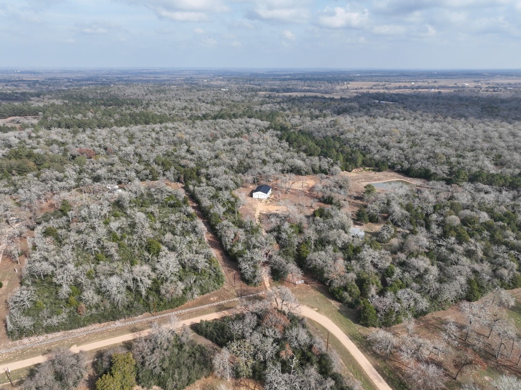 25504 Squirrel Road New Ulm, TX 78950 - Photo 37 of 37 a view of a field
