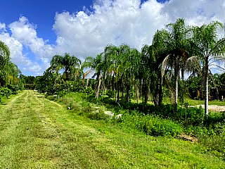 2950 South Brocksmith Road Fort Pierce, FL 34945 - Photo 21 of 45 Brocksmith Road43