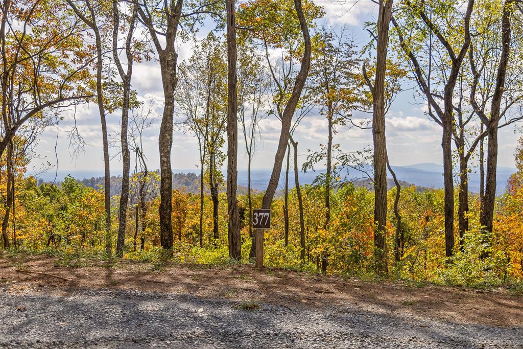 Lot 377 Calloway Mountain Road Talking Rock, GA 30175 - Photo 4 of 25