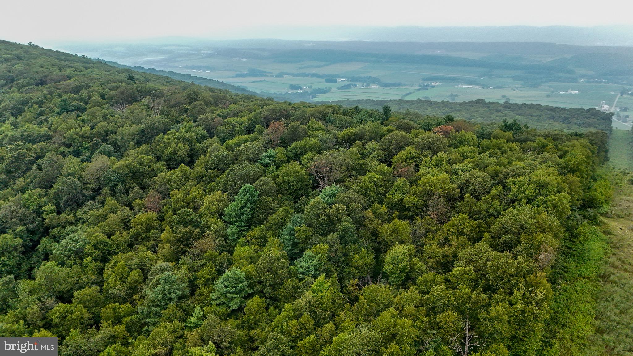 Mountain Road James Creek, PA 16657 - Photo 8 of 27 Lush green hills meet distant valleys.