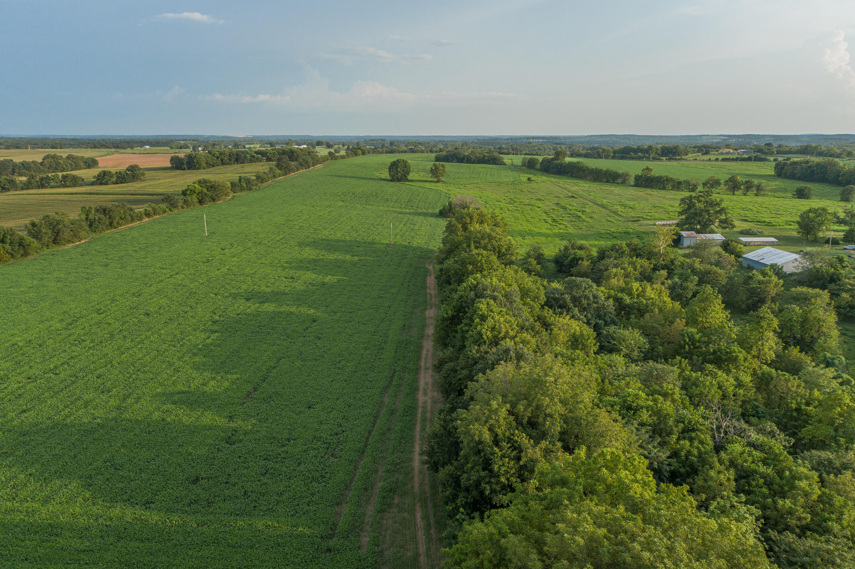 5291 South 127th Road Morrisville, MO 65710 - Photo 74 of 87 5291 S 127th Rd-98