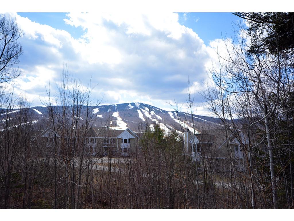 28 B Greenspring Road, Unit B West Dover, VT 05356 - Photo 19 of 20 Gallery Image 19