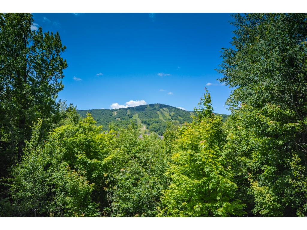28 B Greenspring Road, Unit B West Dover, VT 05356 - Photo 4 of 20 Gallery Image 4