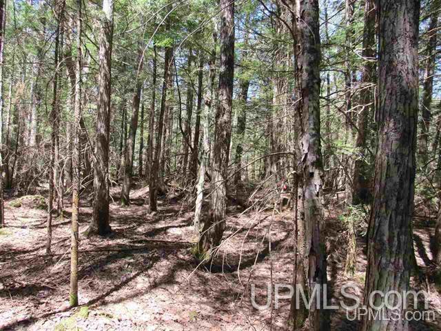 Tbd Klingville Road Chassell, MI 49916 - Photo 2 of 8
