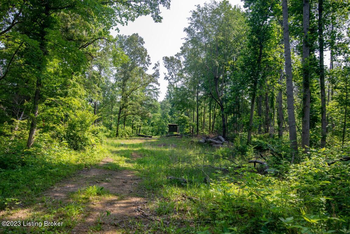 0 Morrison Road Big Clifty, KY 42712 - Photo 7 of 27 Big Clifty-7