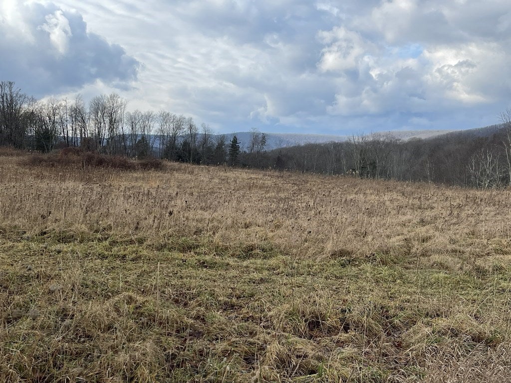 2155 Wilson Hill Road Morris, PA 16938 - Photo 12 of 38 Gallery Image 12