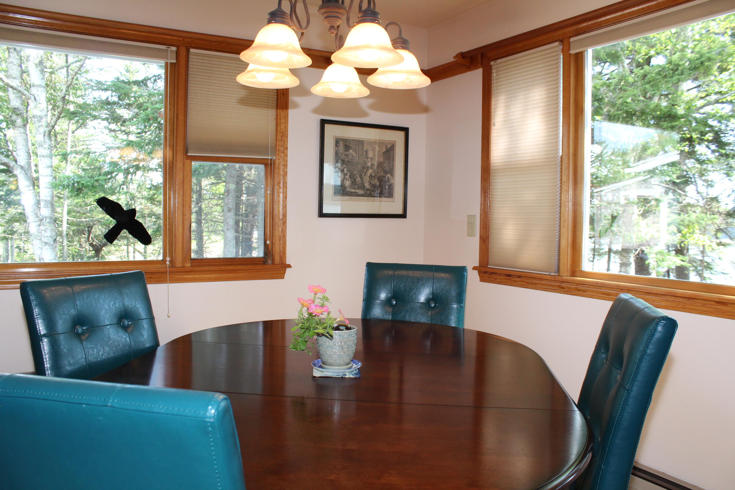 262 Looks Point Road Jonesboro, ME 04648 - Photo 61 of 118 IMG_5651
