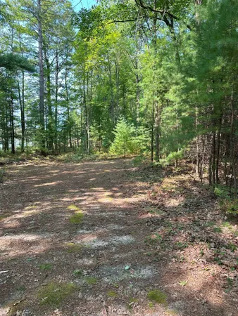 $34,900 | 592 Blue Heron Drive, Kalkaska, MI 49646