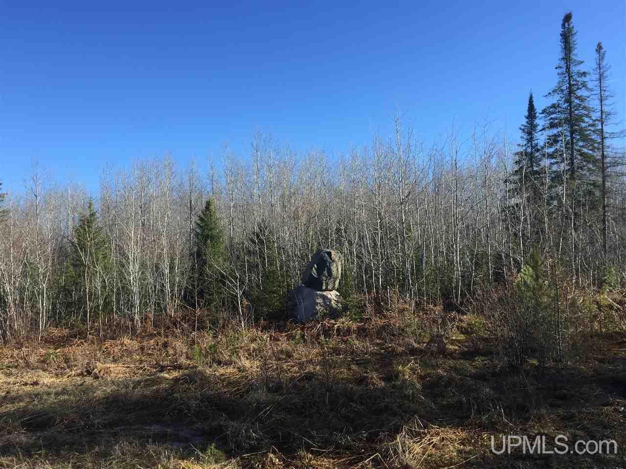 478 Rd Ishpeming Mi 49849 Road, Unit S80 Ishpeming, MI 49849 - Photo 14 of 18 Gallery Image 14