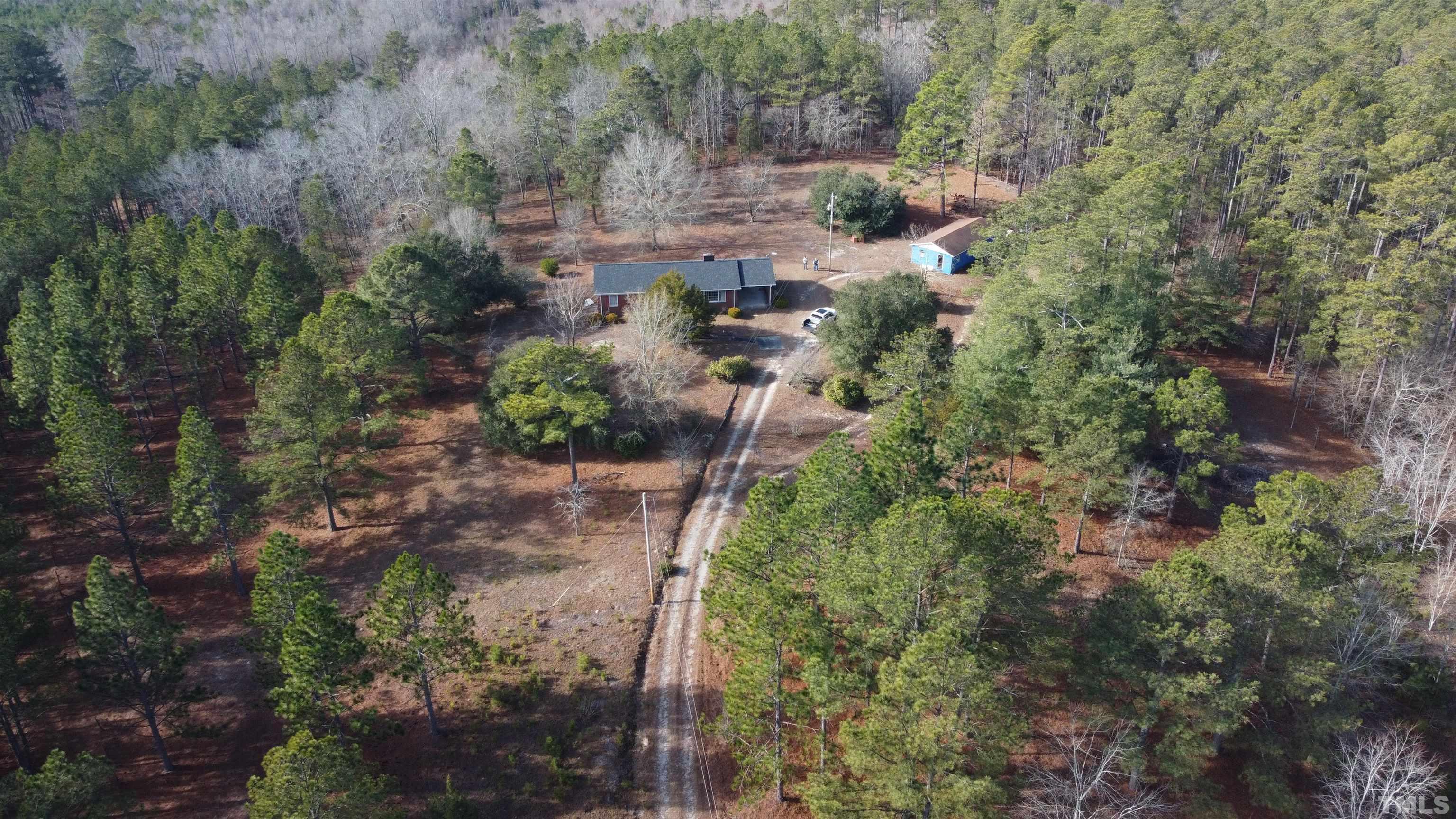 631 Cartledge Creek Road Rockingham, NC 28379 - Photo 3 of 74 a view of a yard with plants and large trees