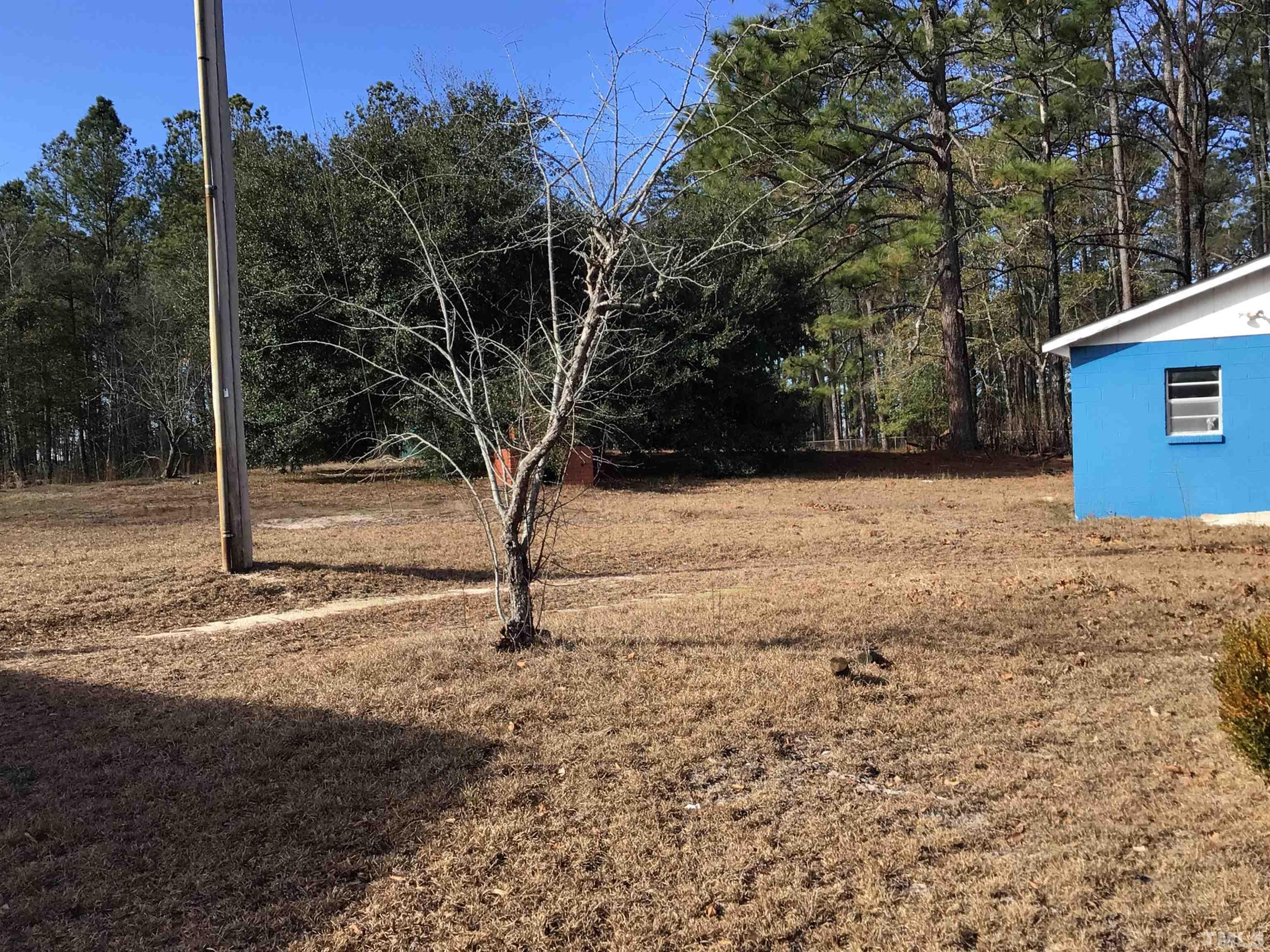 631 Cartledge Creek Road Rockingham, NC 28379 - Photo 41 of 74