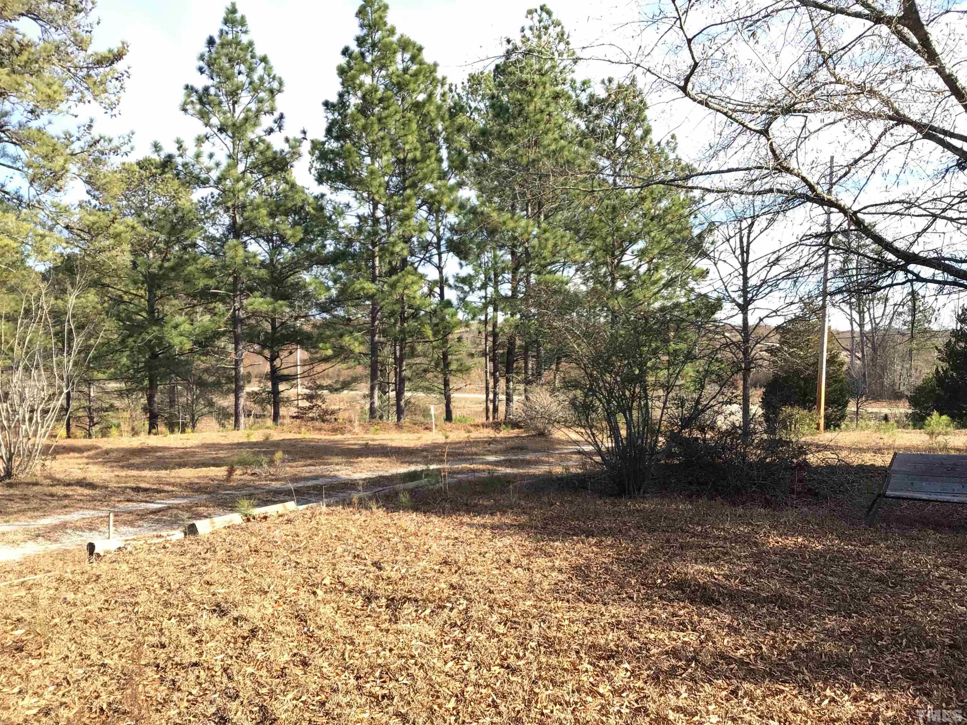 631 Cartledge Creek Road Rockingham, NC 28379 - Photo 46 of 74 a view of a yard with trees