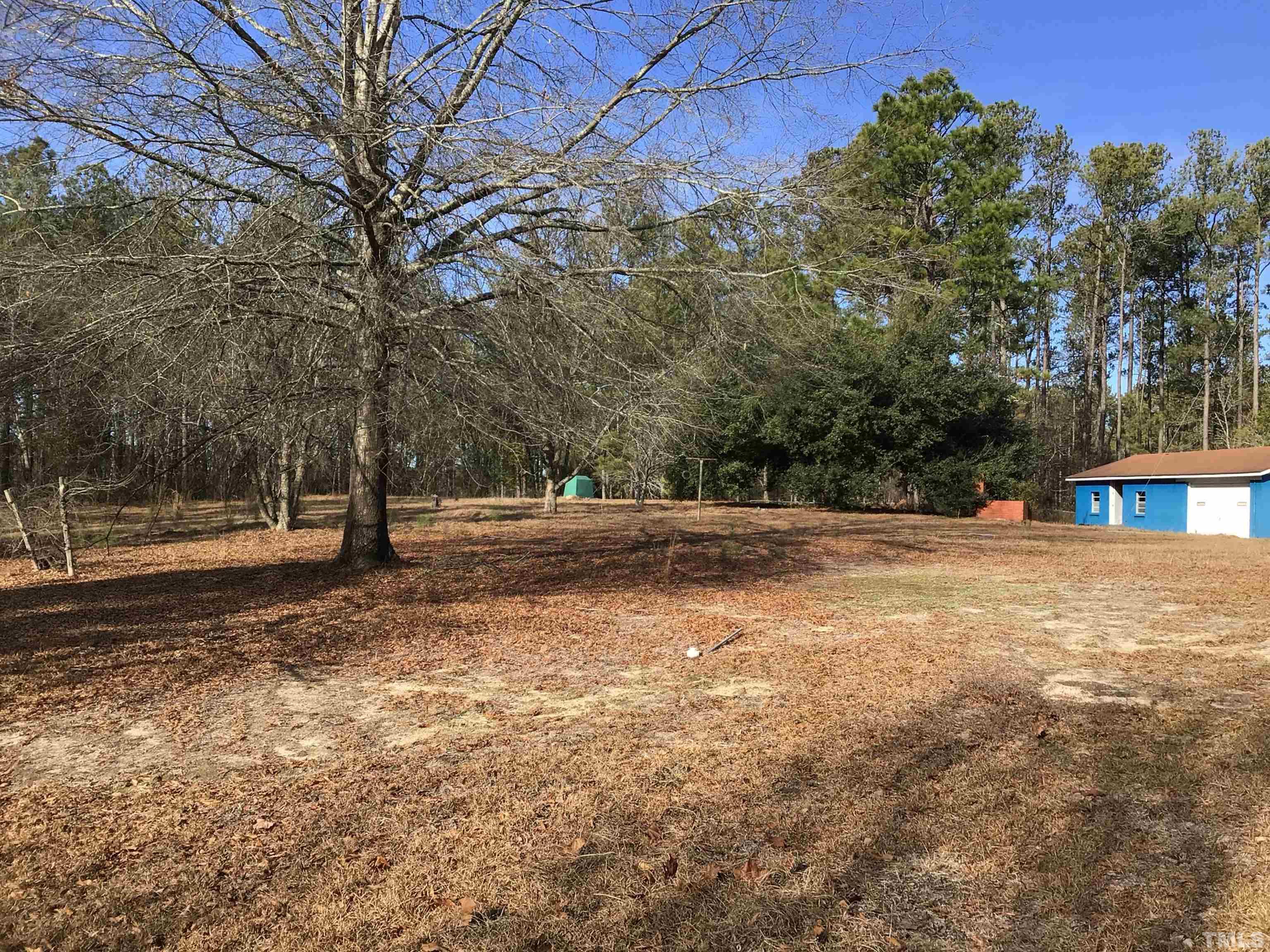 631 Cartledge Creek Road Rockingham, NC 28379 - Photo 55 of 74 a view of road with trees