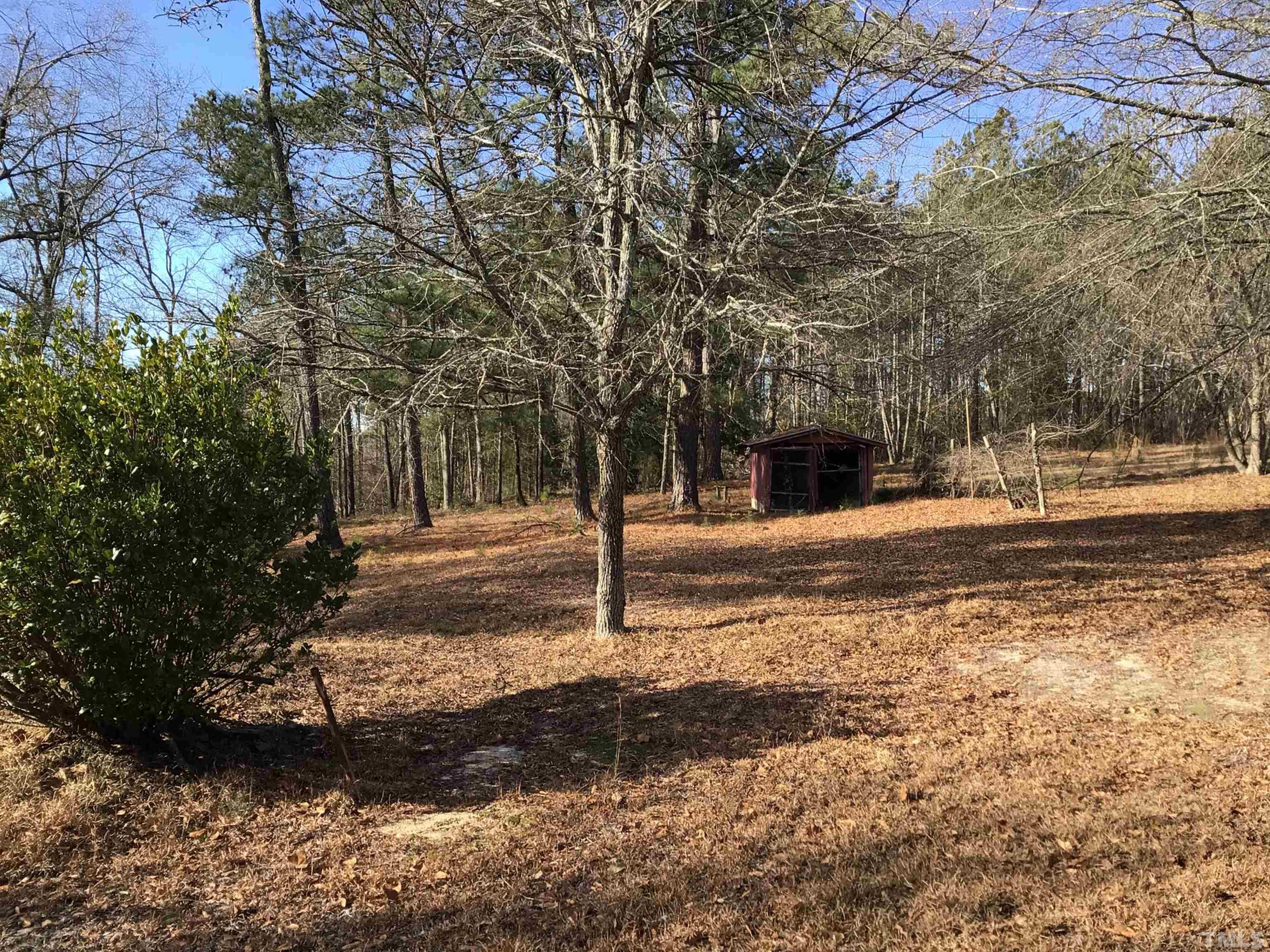 631 Cartledge Creek Road Rockingham, NC 28379 - Photo 56 of 74 a view of a yard with trees