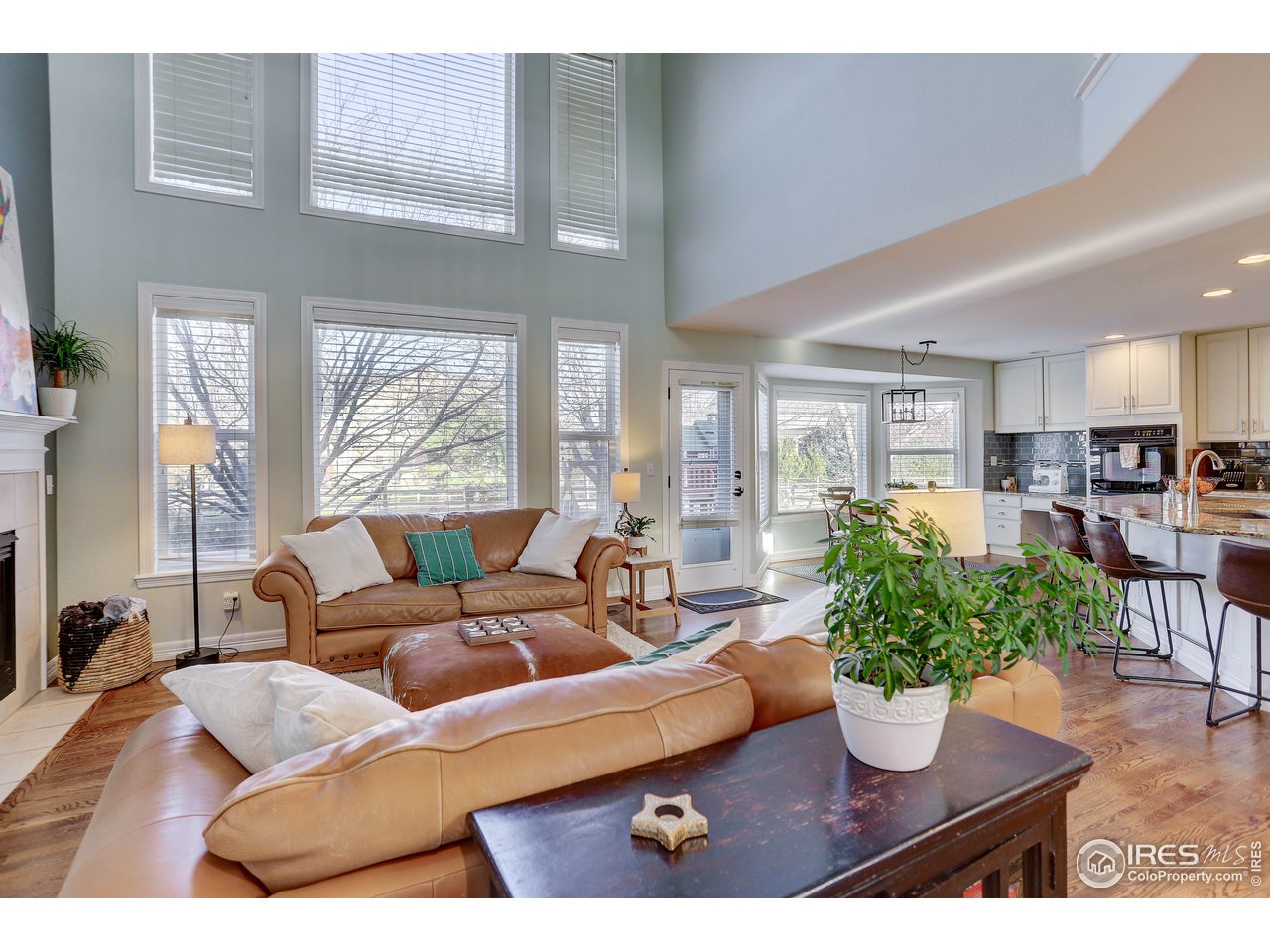 11744 Riverview Road Longmont, CO 80504 - Photo 15 of 40 a living room with furniture potted plant with kitchen view