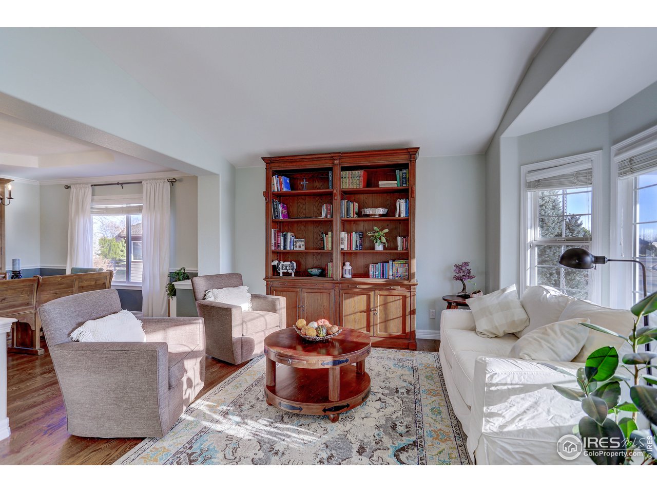 11744 Riverview Road Longmont, CO 80504 - Photo 7 of 40 a living room with furniture and a potted plant