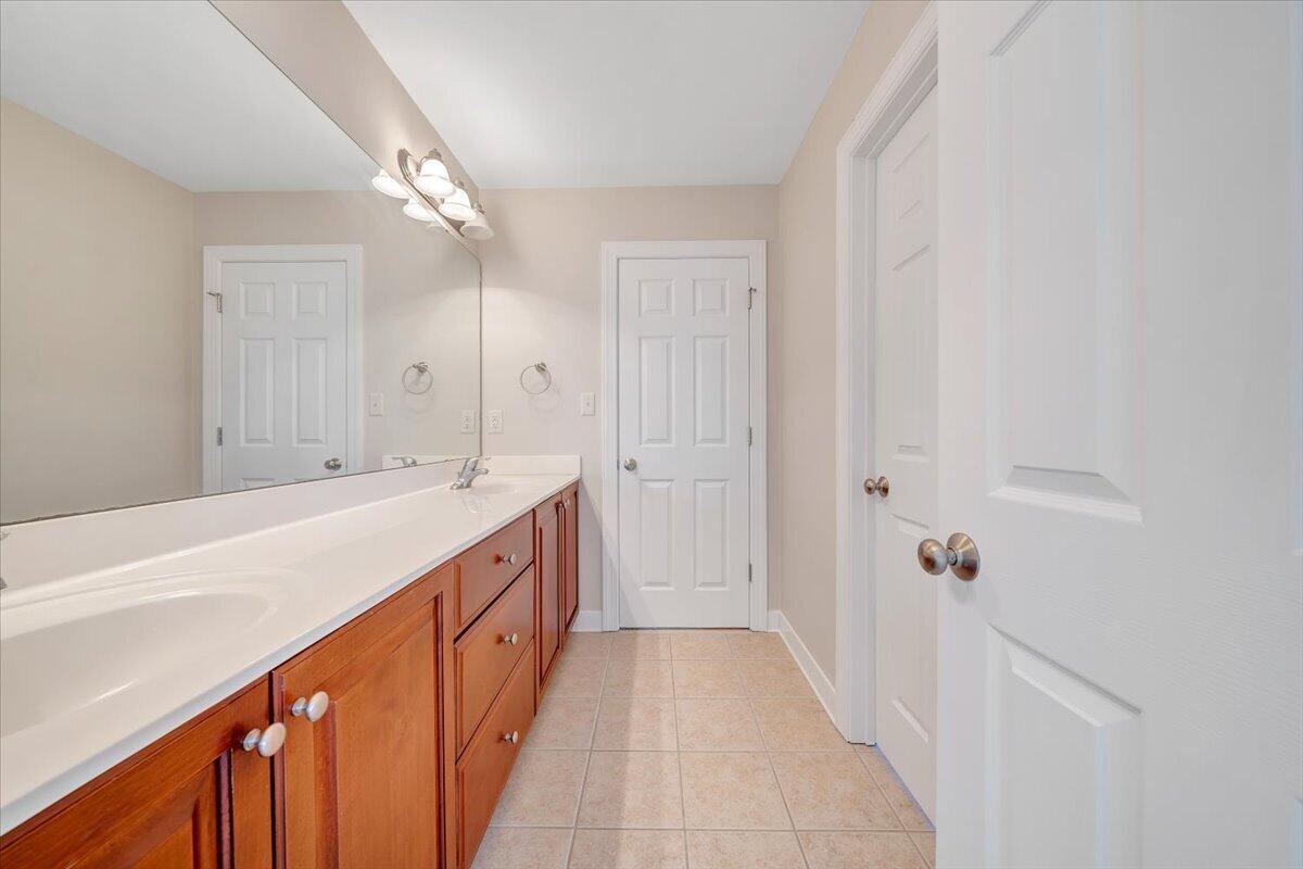 220 Settlers Road Fincastle, VA 24090 - Photo 49 of 106 a bathroom with a sink a vanity and a mirror
