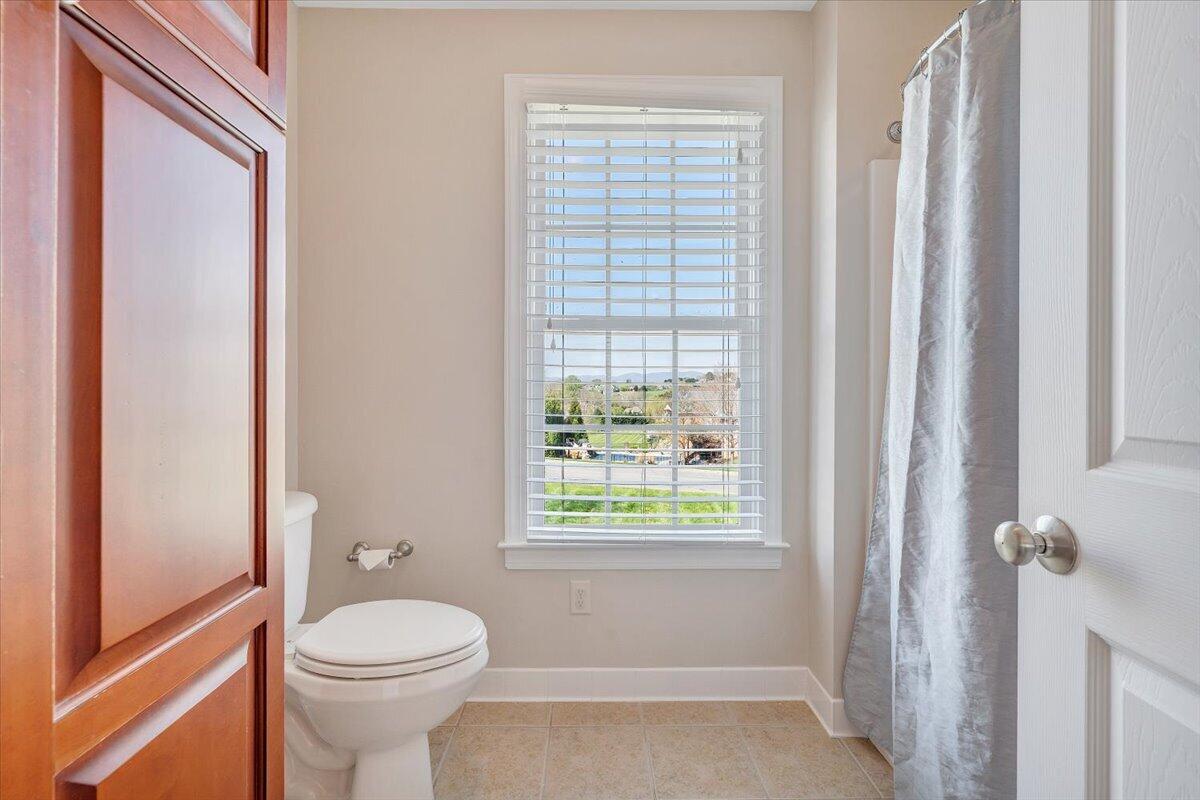 220 Settlers Road Fincastle, VA 24090 - Photo 51 of 106 a bathroom with a toilet a sink and a window