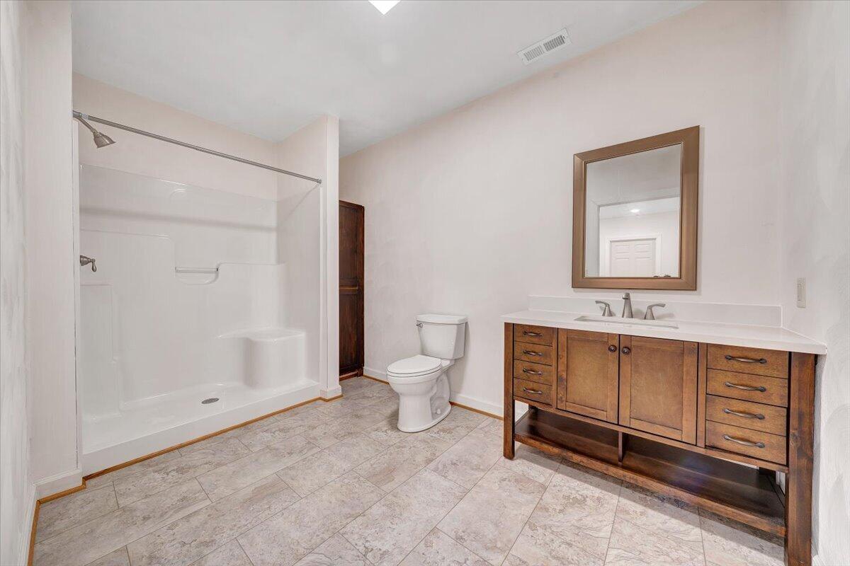 220 Settlers Road Fincastle, VA 24090 - Photo 75 of 106 a bathroom with a sink a toilet and shower
