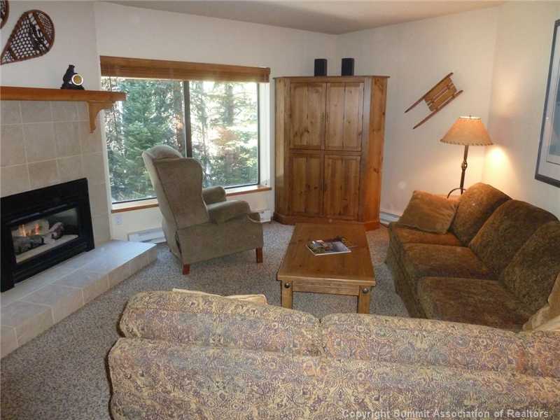 765 Columbine Road, Unit 101 Breckenridge, CO 80424 - Photo 6 of 9 Living Room.