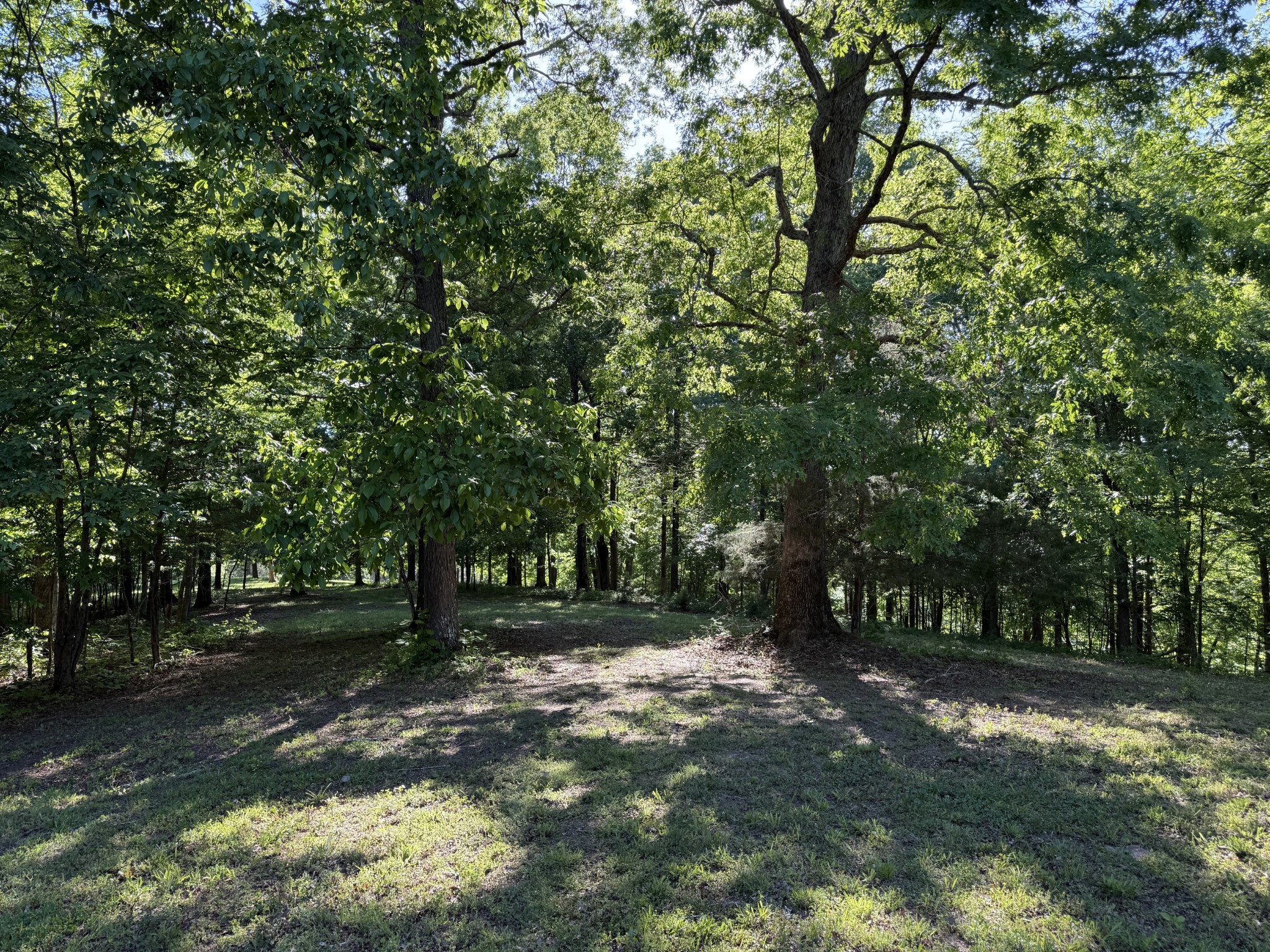0 Poplar Grove Road McEwen, TN 37101 - Photo 44 of 51 Gallery Image 44