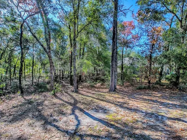 a backyard of a house with lots of green space