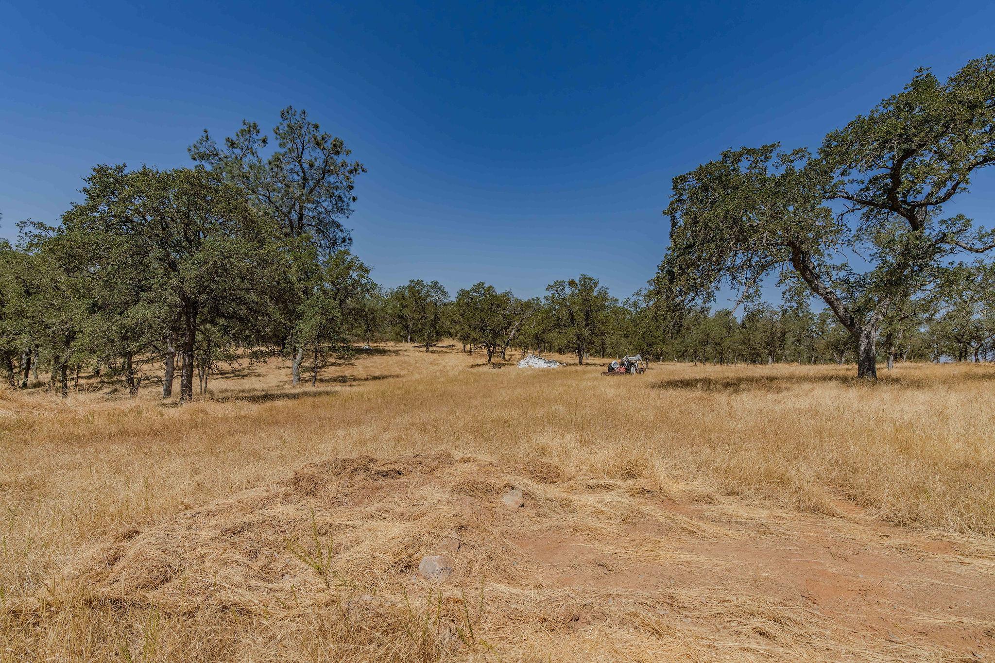 10660 Hogan Dam Road Farmington, CA 95230 - Photo 6 of 12