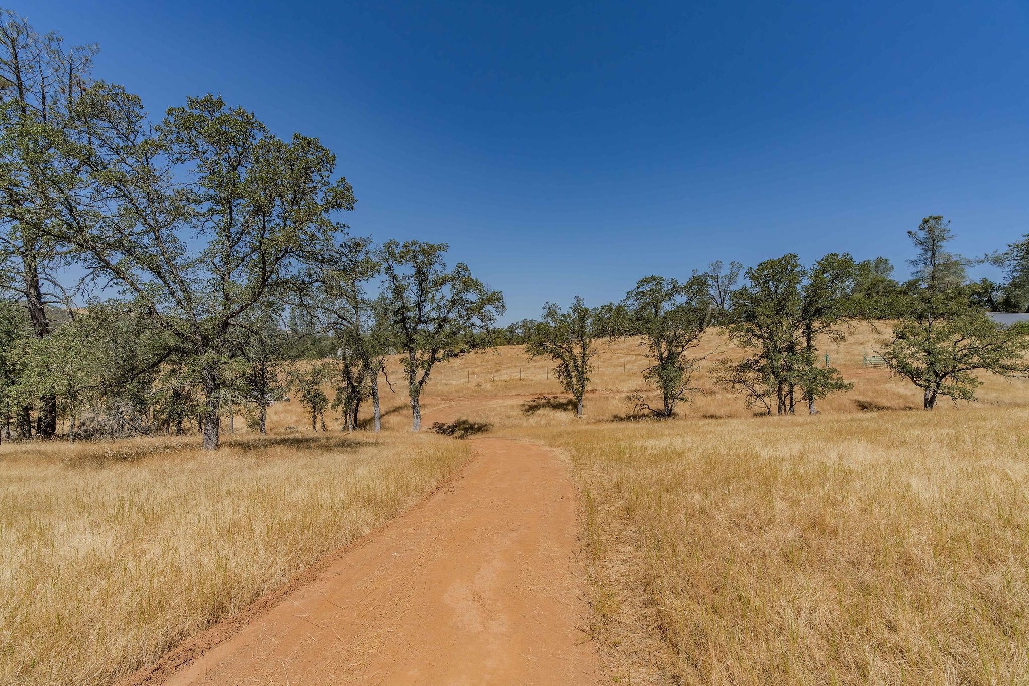 10660 Hogan Dam Road Farmington, CA 95230 - Photo 7 of 12