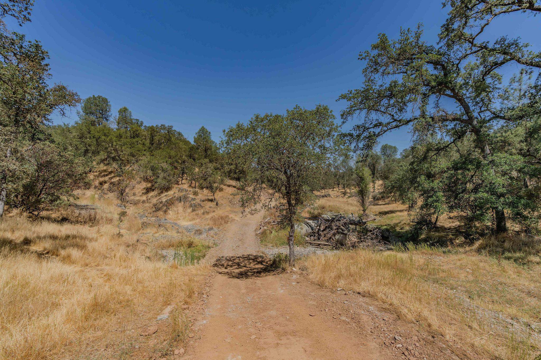 10660 Hogan Dam Road Farmington, CA 95230 - Photo 8 of 12